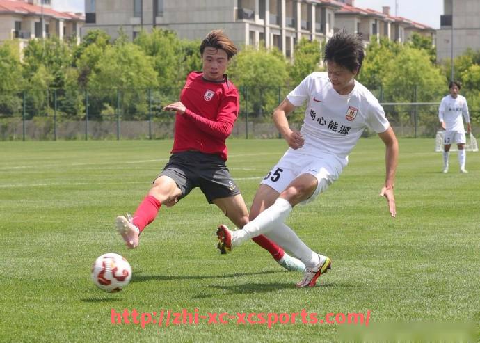 杏彩体育-AMT系列健身器材是什么？适合哪些训练目的