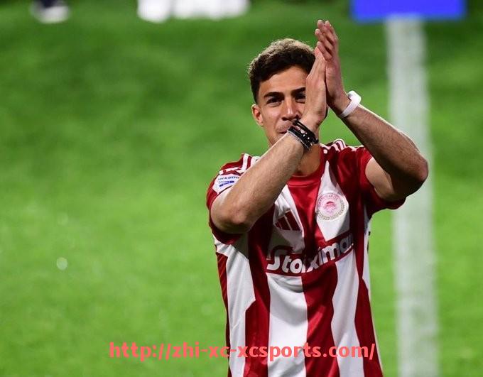 杏彩体育-沈航北足球场CBA：沈航北足球场举办CBA赛事的历史与影响