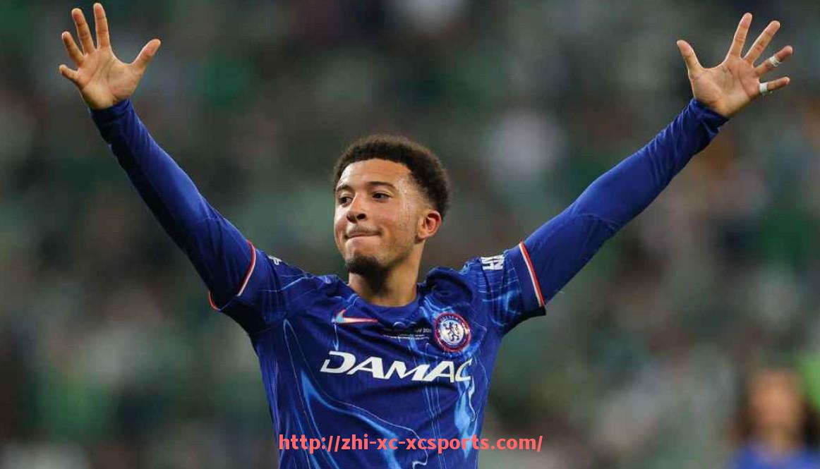 杏彩体育-世俱杯商业合作项目风险评估框架与实操应用指南